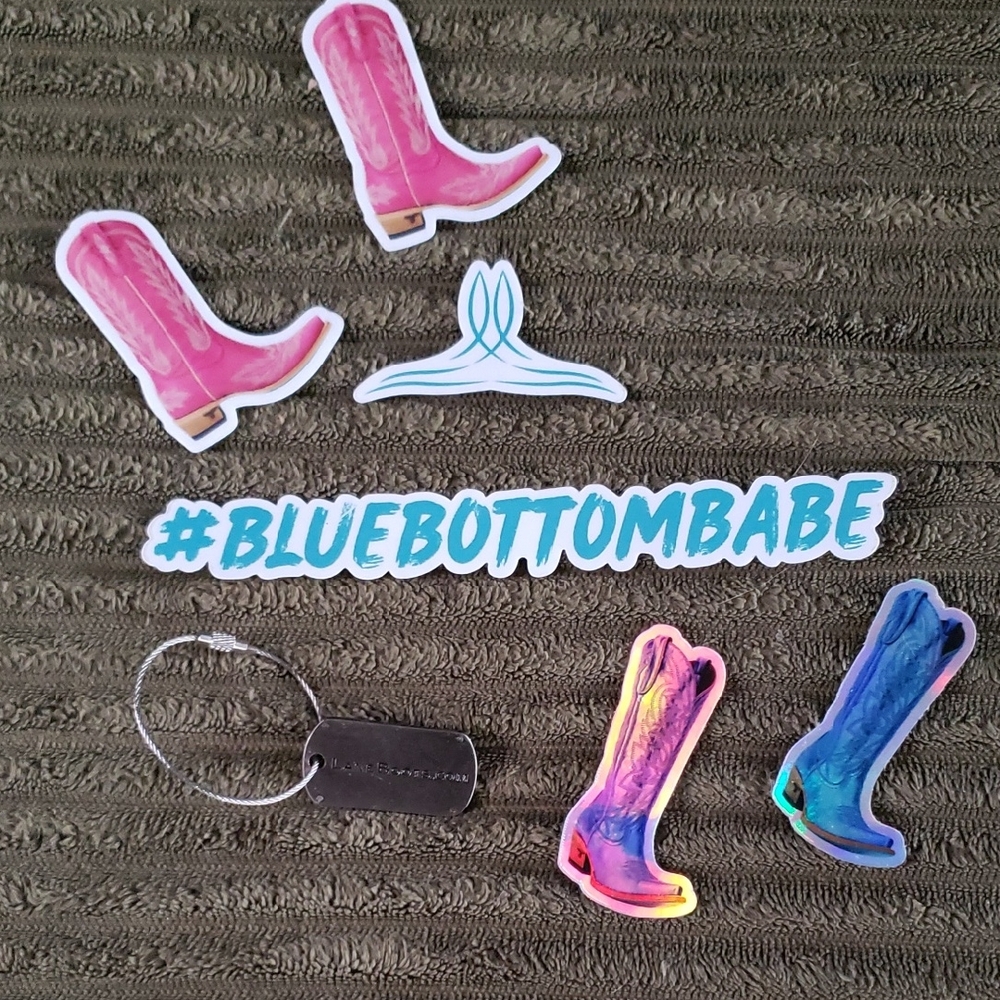 Lane Boots Pink and Blue Boot Stickers Set & Metal Tag